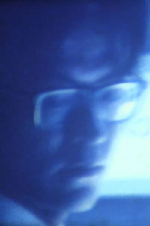 ６月１５日の赤いバラ