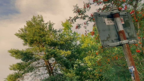 No Men‘s World Bild 1