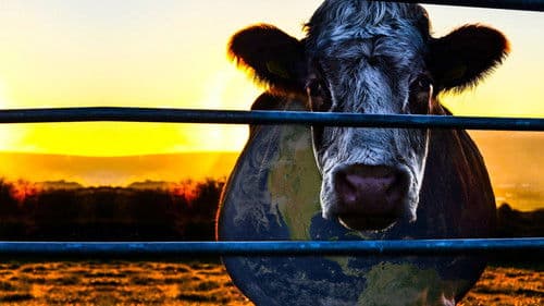 Cowspiracy - Das Geheimnis der Nachhaltigkeit Bild 1