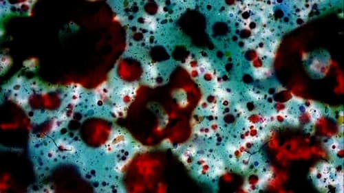 … ere erera baleibu izik subua aruaren… Bild 1