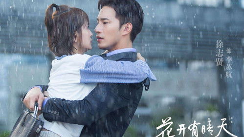 花开有晴天 Bild 2