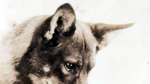 While London Sleeps Bild 1