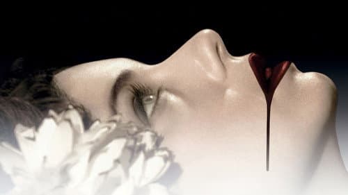 Black Dahlia Bild 3