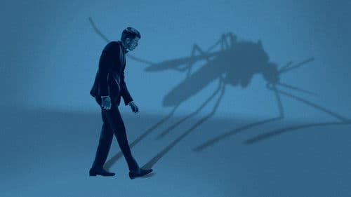 Mosquito State Bild 1