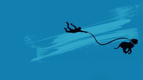 Scott & Huutsch Bild 7