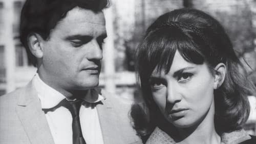 São Paulo, Sociedade Anônima Bild 2