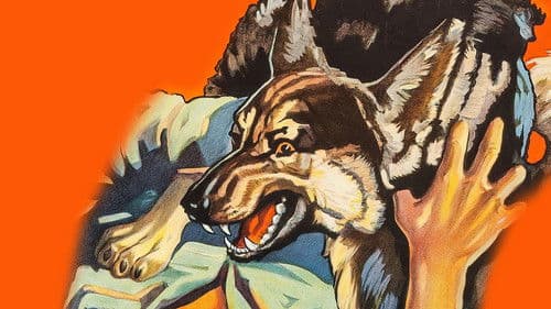 Ferocious Pal Bild 1