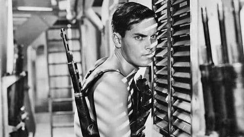 Sailor of the King Bild 5