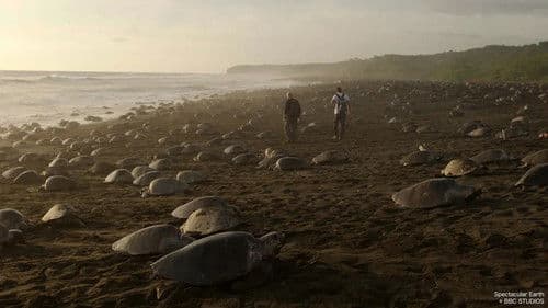 Spektakuläre Erde Bild 2