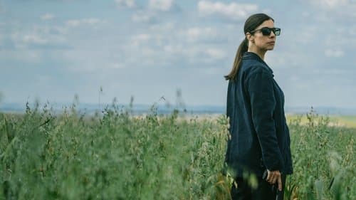 Cuando nadie nos ve Bild 3