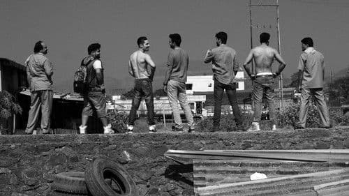 Sunshine Music Tours and Travels Bild 3