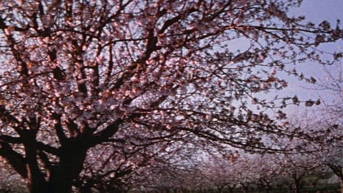 Vincent van Gogh - Ein Leben in Leidenschaft Bild 8