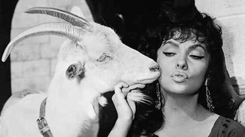 Der Glöckner von Notre Dame Bild 4