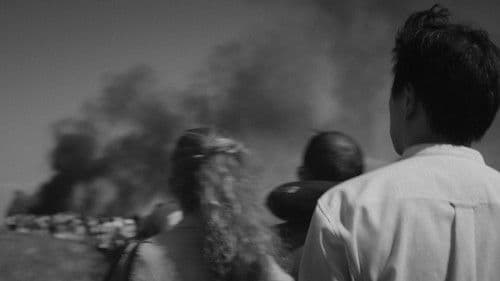 Eiserne Schmetterlinge Bild 2