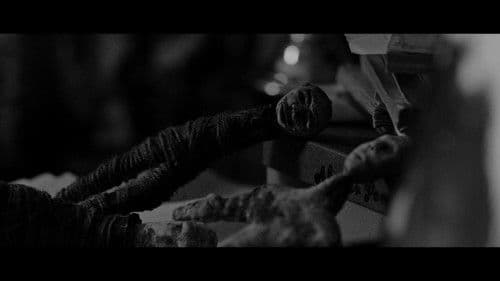 Déjà Voodoo Bild 1