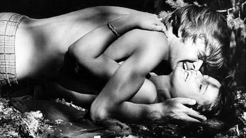 Tannenzapfen unter dem Rücken Bild 2