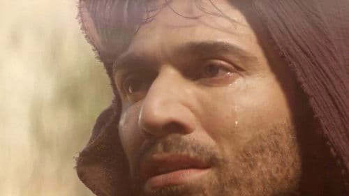 Full of Grace Bild 2