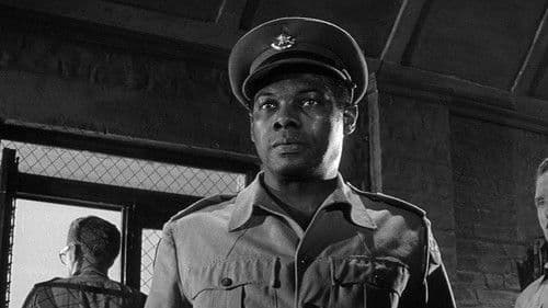 Schüsse in Batasi Bild 3