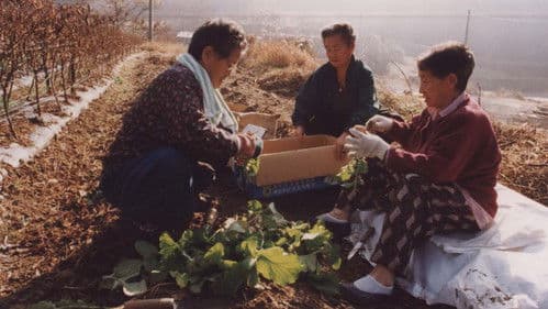 낮은 목소리 2 Bild 1