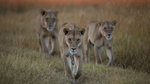 Überleben im Paradies: Eine Familiengeschichte Bild 3