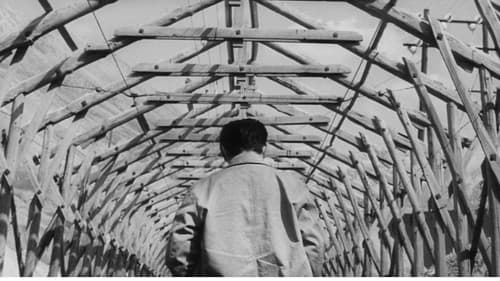 Barfuß durch die Hölle - 1. Teil Bild 7