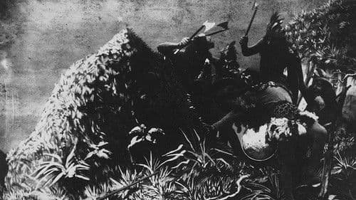 Les Aventures de Robinson Crusoé Bild 3