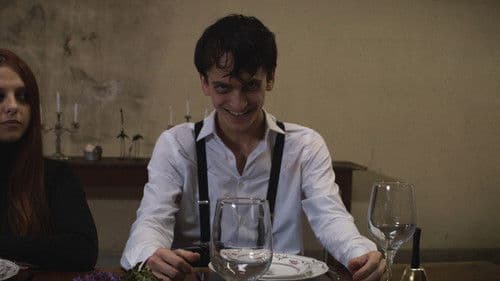 Floresta da luz Bild 1