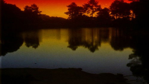 O Território Bild 5