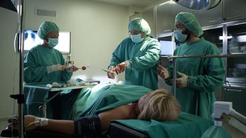 Ljudožder vegetarijanac Bild 1