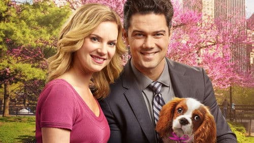 Marrying Mr. Darcy Bild 2