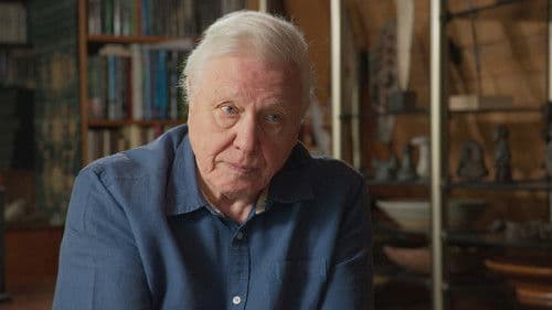 Zoo Quest in Colour Bild 3