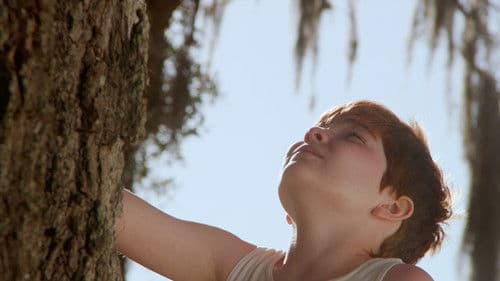 Tony and the Tree Bild 1