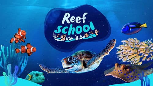 Reef School Bild 2
