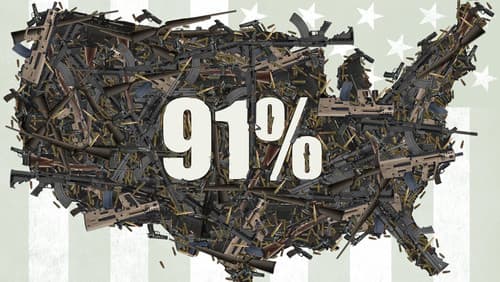 91% Bild 1