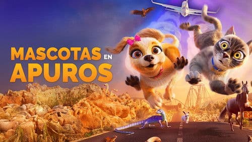 Gracie & Pedro: Pets to the Rescue Bild 7