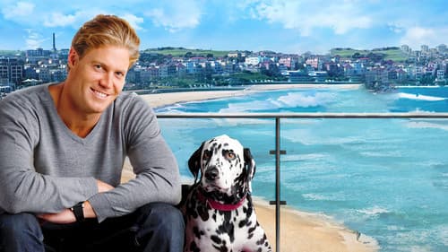 Bondi Vet Bild 4