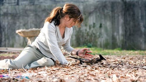 Die Vorahnung Bild 2