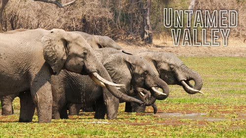 Untamed Valley Bild 1