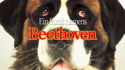 Ein Hund namens Beethoven Bild 5