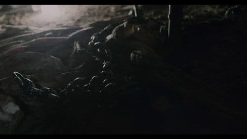 Mary Had a Little Lamb Bild 5