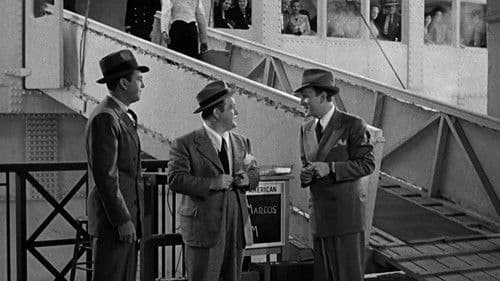 One Night in the Tropics Bild 1