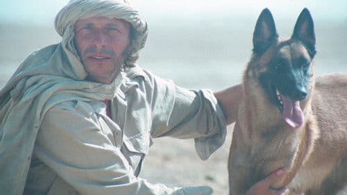 Zwei Kamele auf einem Pferd Bild 2