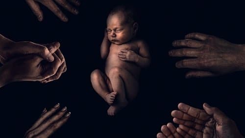 The King Tide Bild 6