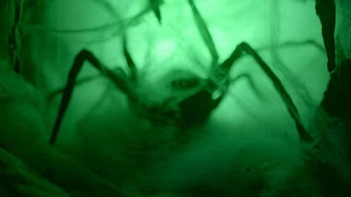 Quintaesencia Bild 3