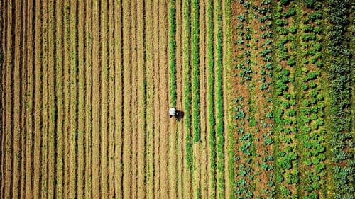 Unser Boden, unser Erbe Bild 7