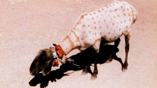 A Road in India Bild 2