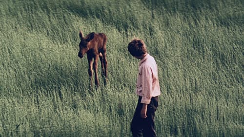 Руда фея Bild 7