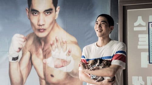 판소리 복서 Bild 3