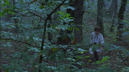 A los que aman Bild 3