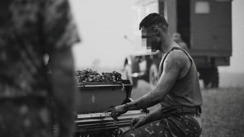 Eiserne Schmetterlinge Bild 3